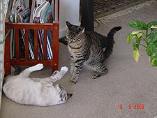 Allie & Lily, September 2005