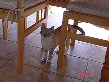Lily, September 2005