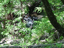 A tiny waterfall along the trail.