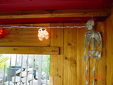 Hanging skeleton