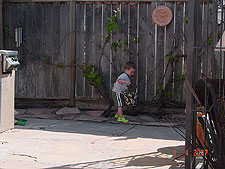 Hunter looking for eggs.