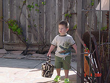 Hunter looking for eggs.