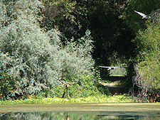 Scenic view from the park