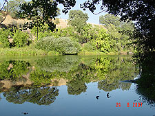 View from our campsite.