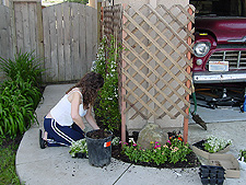 Heidi planting.