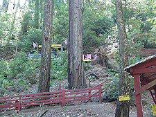 Train at Confusion Hill.