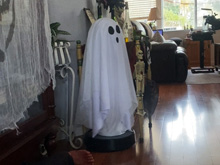 Roomba ghost