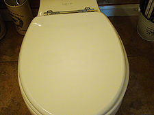 New toilet seat