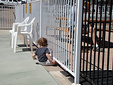 Ryder thinks he can squeeze under the fence to get to Dave on the other side.