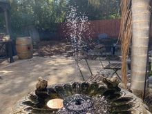 birdbath