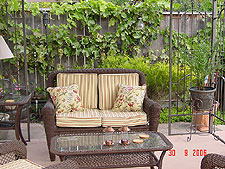 New toss pillows, candle lamps and potted Pigmy Date Palms.