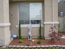 Turning out just like we pictured!