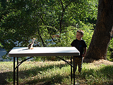 A baby Blue Heron fell out of its nest.