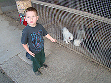 Hunter feeding the Siklies.