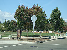 A view from farther back