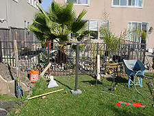 Working on leveling and cementing the back fence posts.