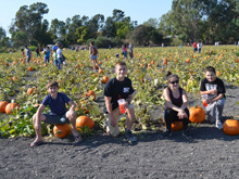 Pumpkin Patch