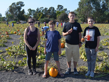 Pumpkin Patch
