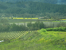 Views on the way to the snow