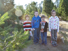 Ryder, Hunter, Austin, Olivia