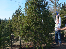 Ryder doing the zip line.