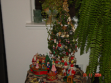 Tiny Christmas tree.